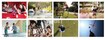 Puravankara The Sound of Water Phase 2 Amenities Features