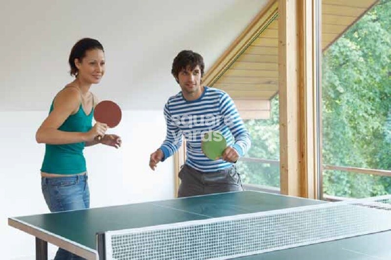 Puravankara The Sound of Water Sports facilities Image 2