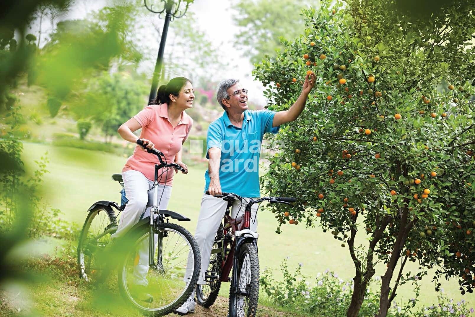 Purva Blubelle Greens Image