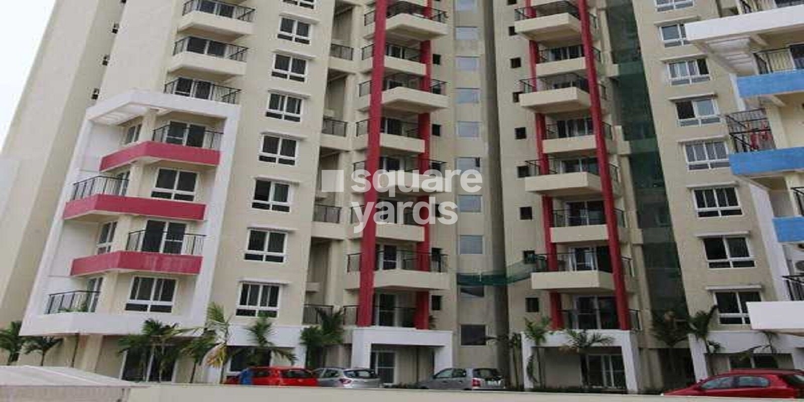 Purva Gold Crest