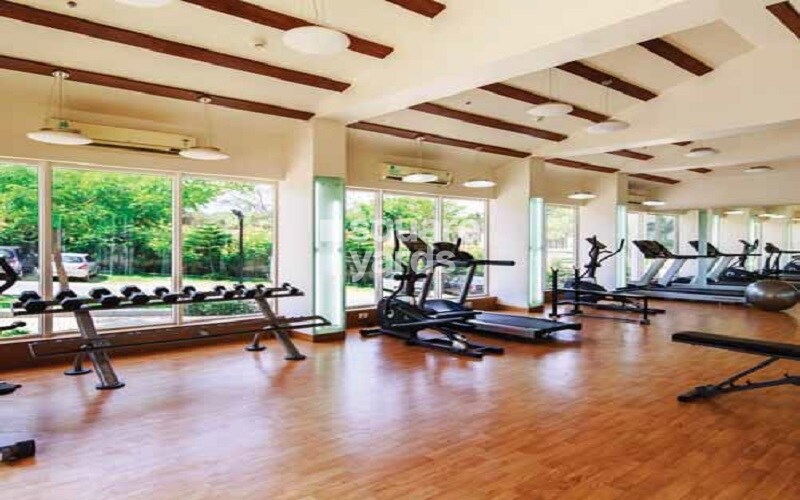 Purva Highland Gymnasium Image