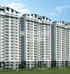 Purva Palm Beach Purva Palm Beach