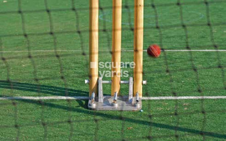 Purva Palm Beach Sports facilities Image 2