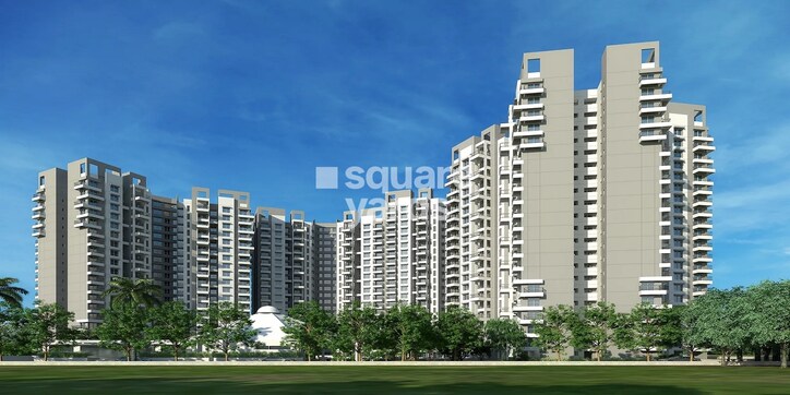 Purva Park Hill Cover Image