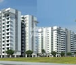 Purva Whitehall 3