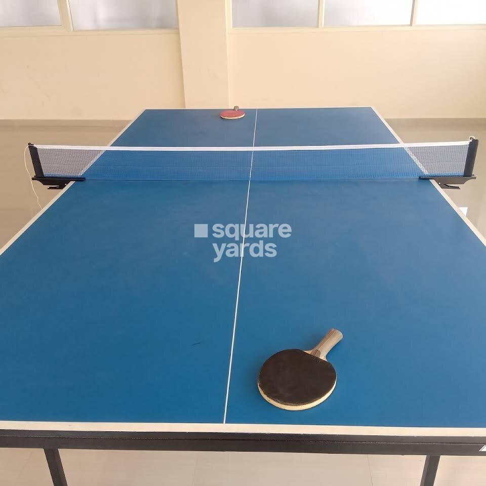 Pyramid Carnations Amenities-Features