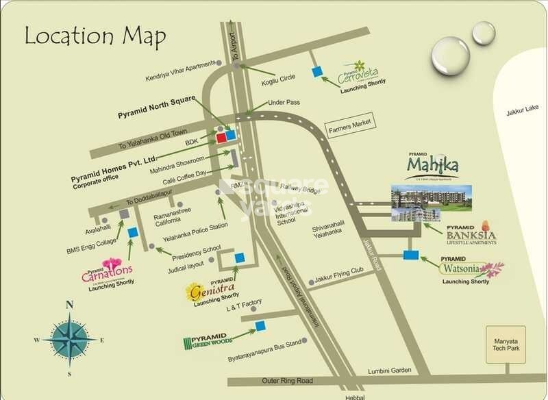 Pyramid Carnations Location Image