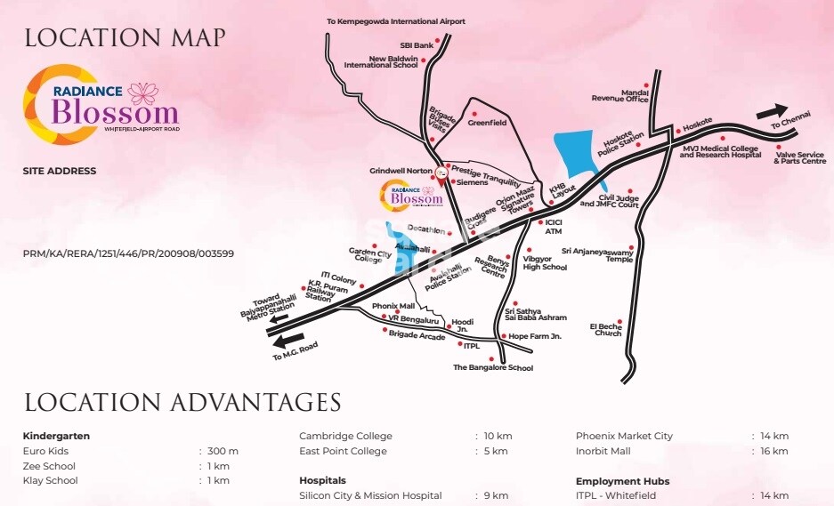 Radiance Blossom Location Image