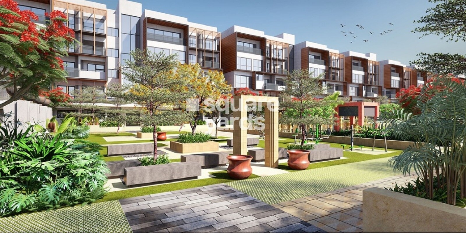 Radiance Gardenia Featured Image