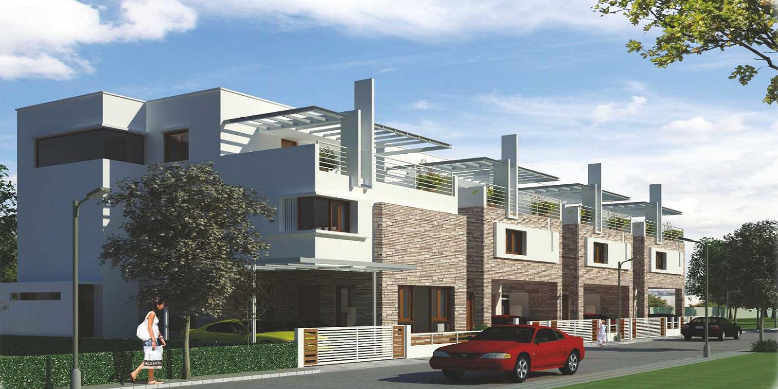 Radiant Silver Oak Featured Image