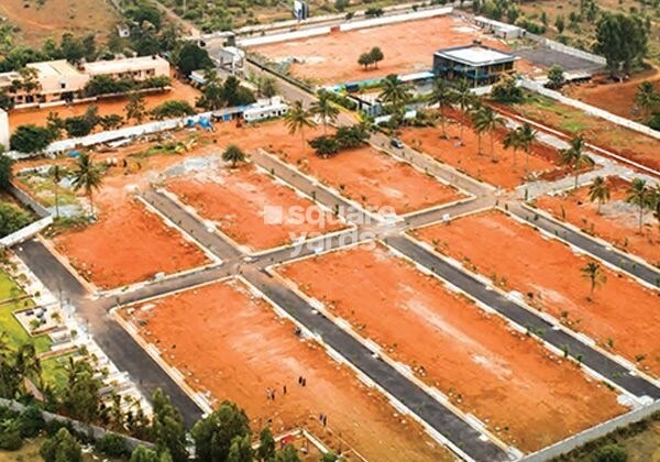 Reliaable Dollar Collony