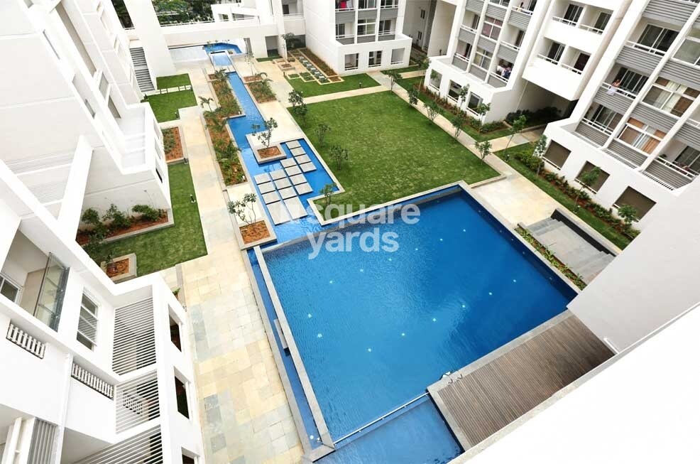 Representative image as actual visual unavailable for Renaissance Avriti