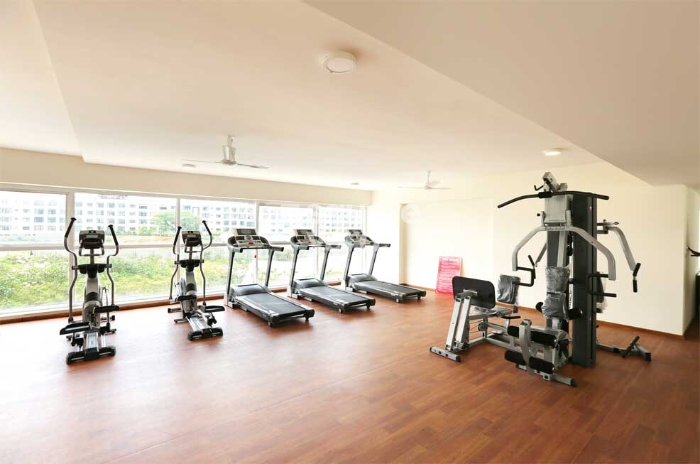 Representative image as actual visual unavailable for Renaissance Avriti