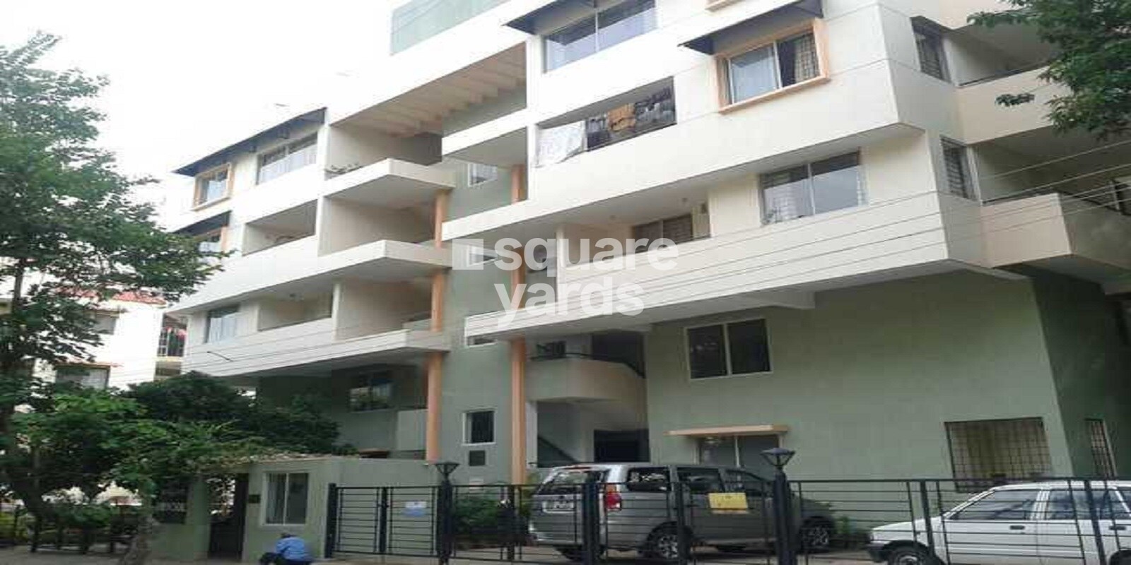 Renaissance Daffodils