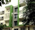 Renaissance Kalpataru