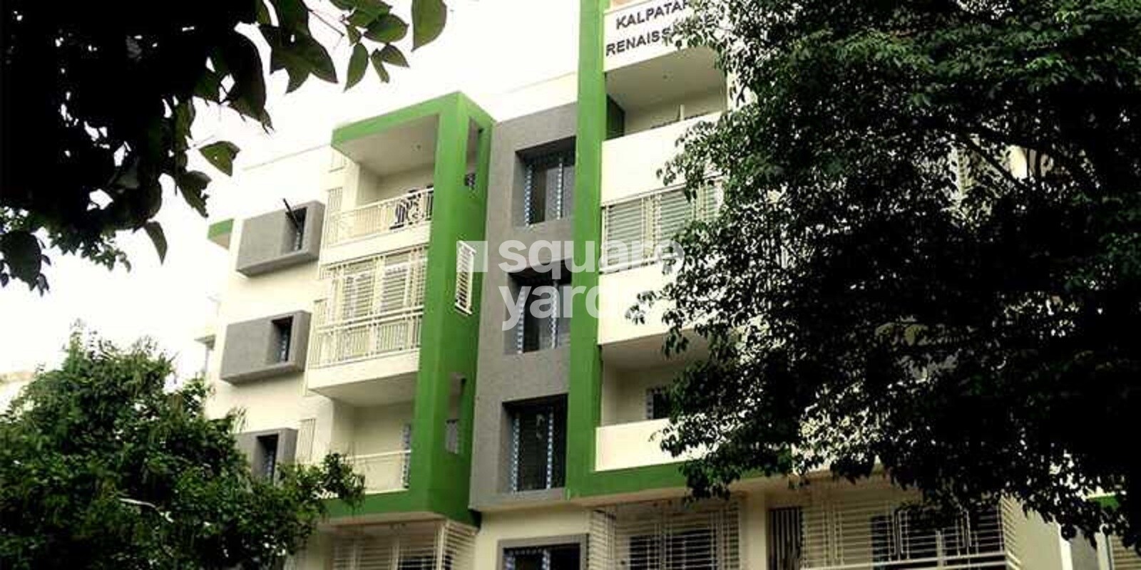 Renaissance Kalpataru