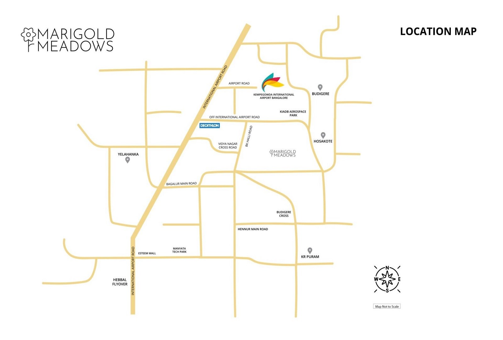 Renaissance Marigold Meadows
