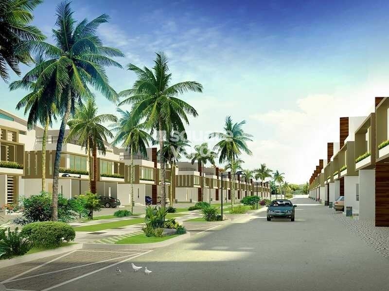 Renaissance Nature Walk