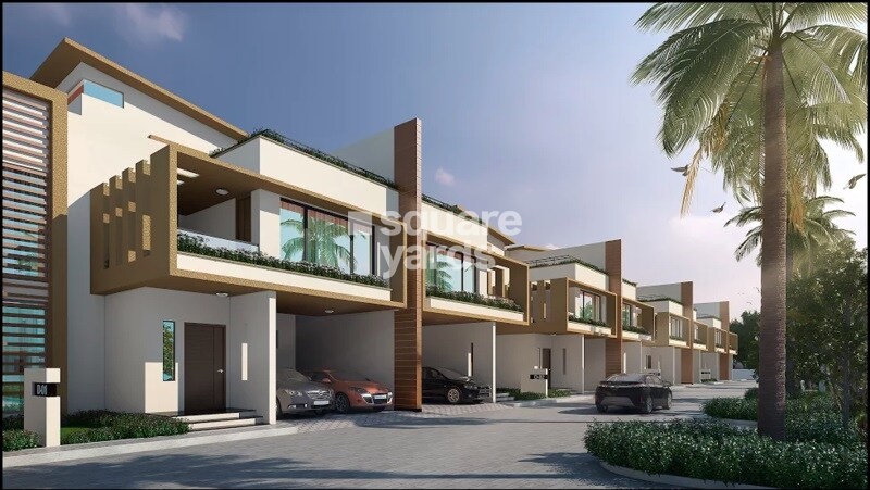 Renaissance Nature Walk