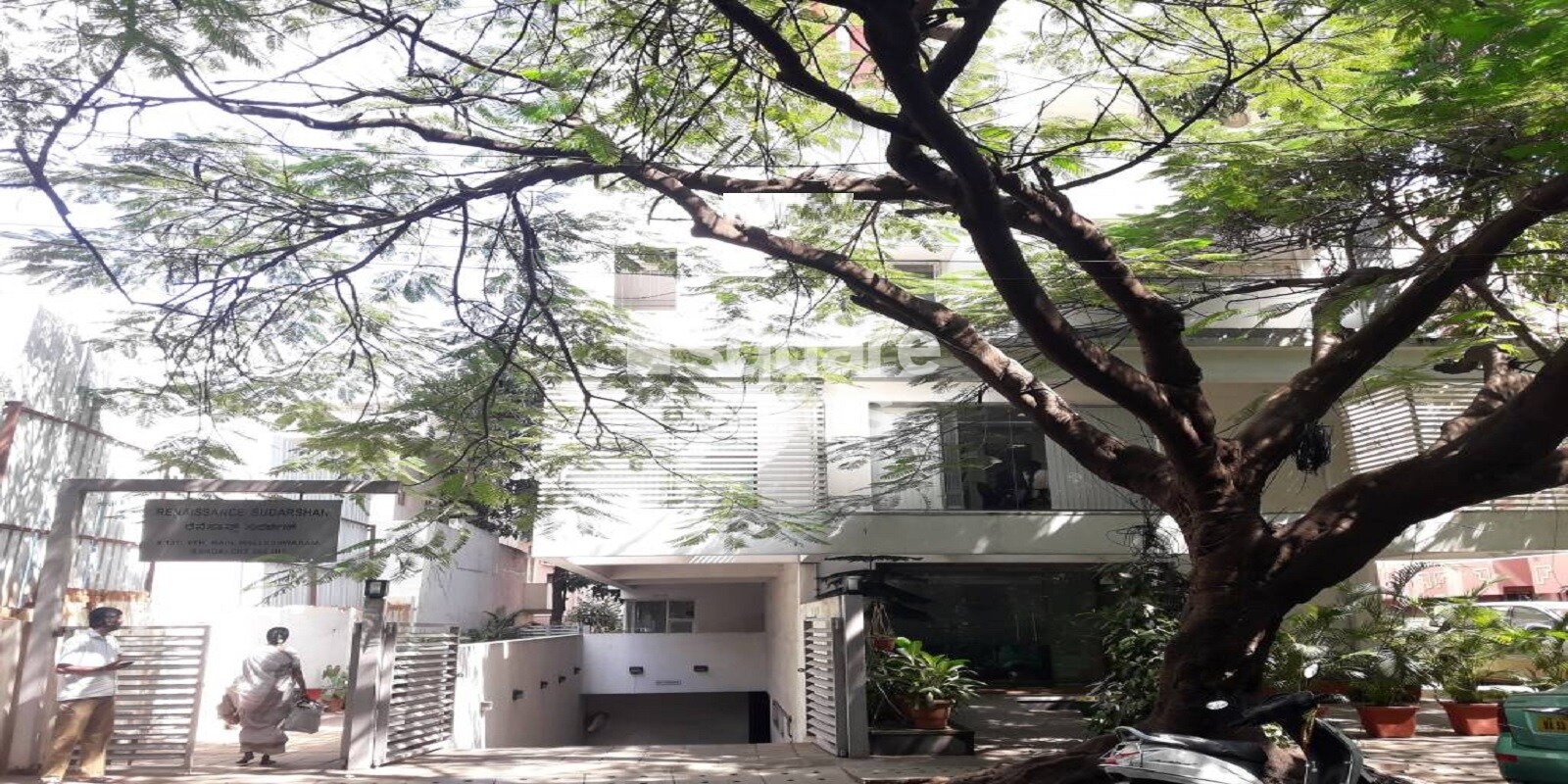 Renaissance Sudarshan