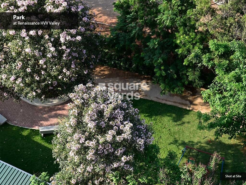 Renaissance Woods Phase I Amenities-Features