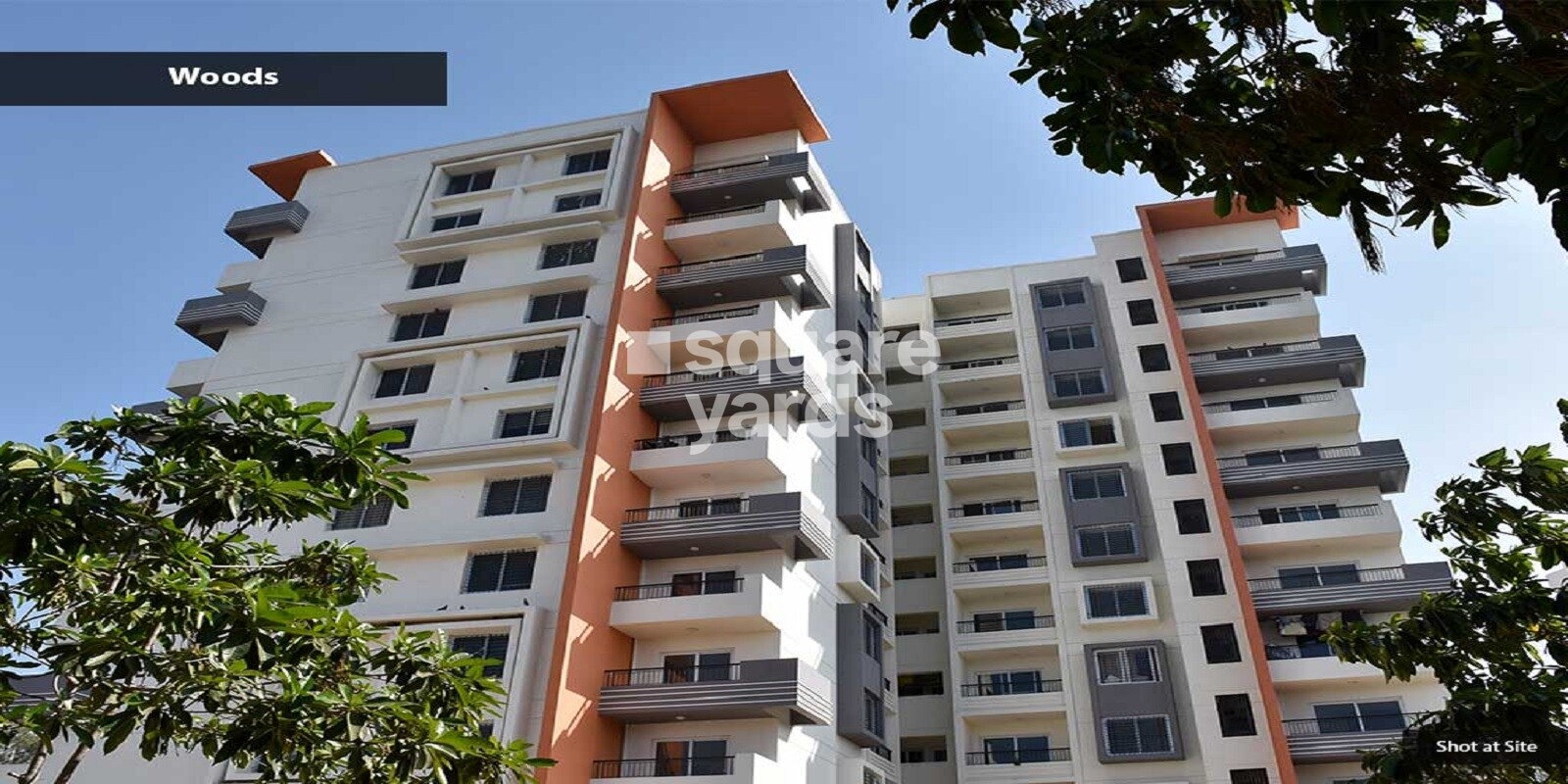 renaissance-woods-phase-i