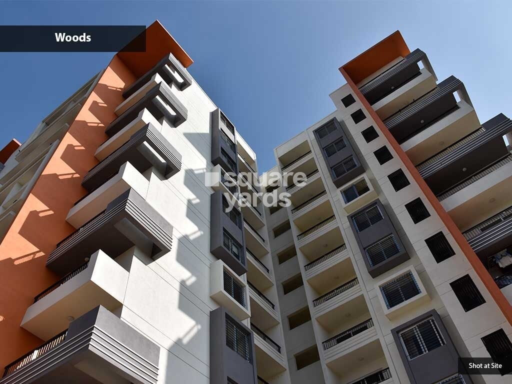 Renaissance Woods Phase I Tower View 1