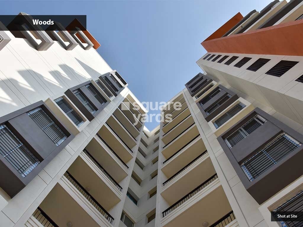 Renaissance Woods Phase I