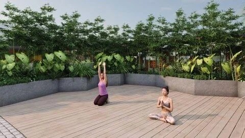 Reviva Vintage Valley