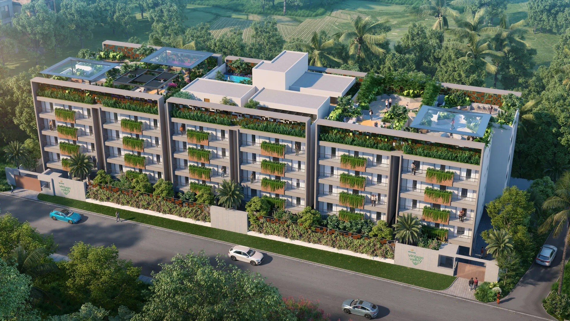 Reviva Vintage Valley