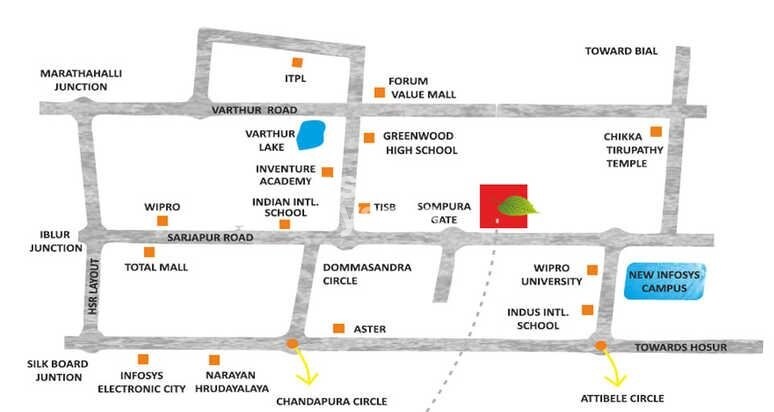 Revivals Spring Woods