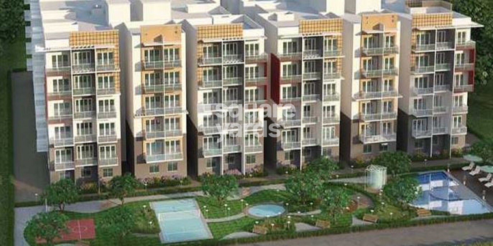 Revivals Spring Woods