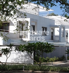 Rohan Ashima Rohan Ashima