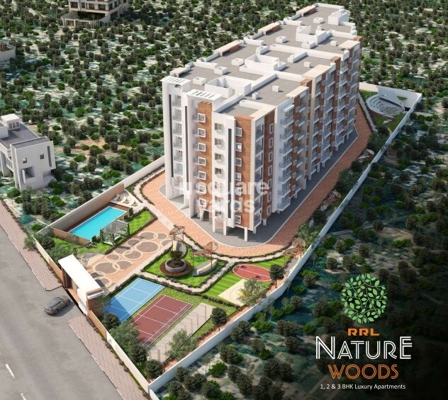 RRL Nature Woods Tower View 1