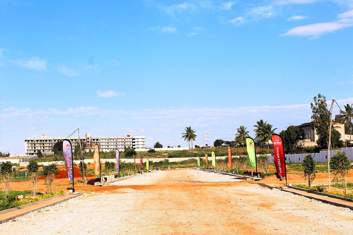 Ruby Sizzle Heritage