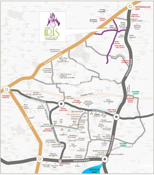 Ruchira Projects Iris