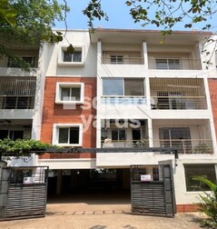 Rukmini Graces Rukmini Graces