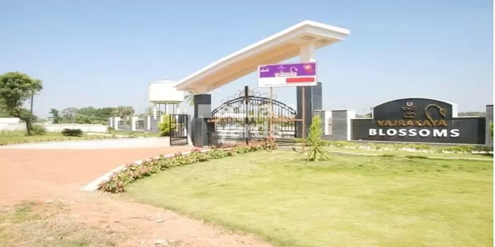 S And S Vajrakaya Blossoms