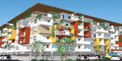 S2 Golden Tulip