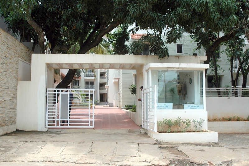 Saf Snowdrops Entrance View