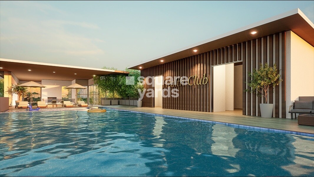 Saiven Mulberry Groves