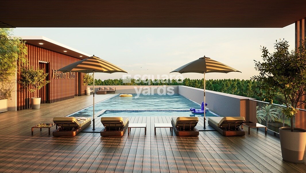 Saiven Mulberry Groves