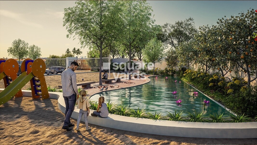 Saiven Mulberry Groves