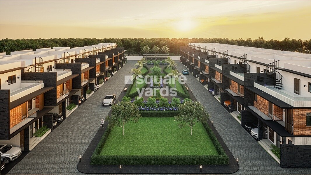 Saiven Mulberry Groves