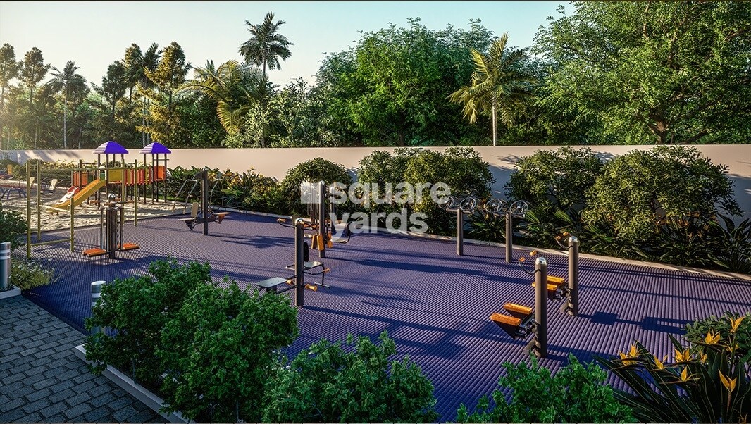 Saiven Mulberry Groves