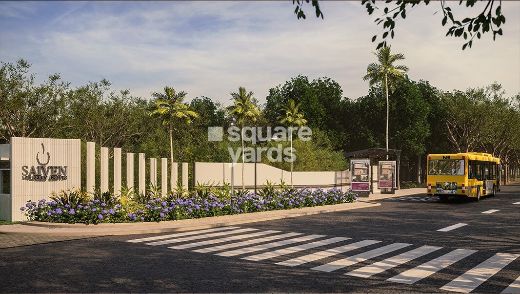 Saiven Mulberry Groves