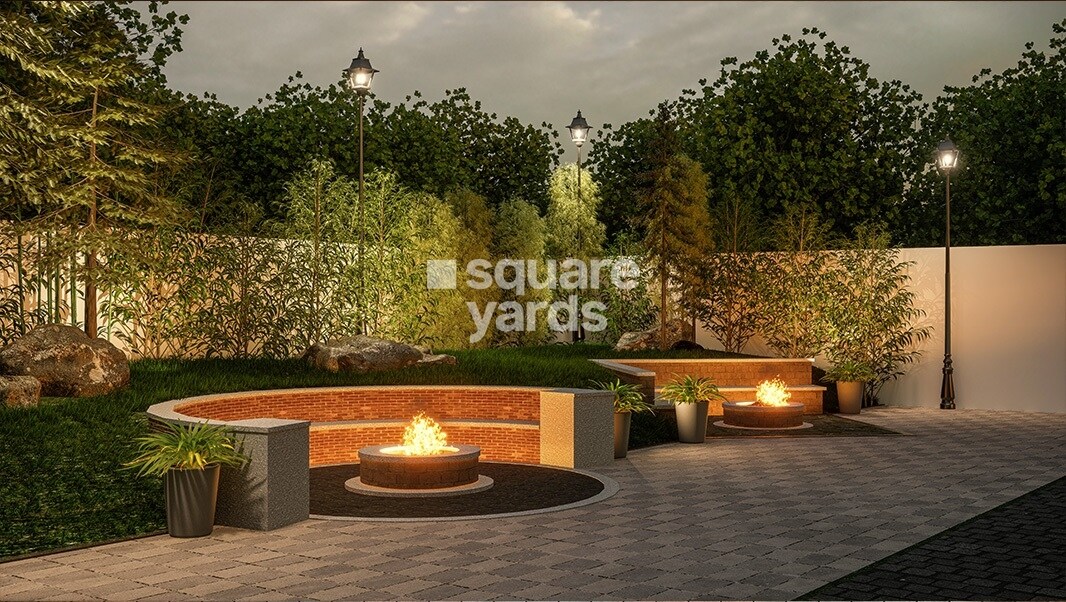 Saiven Mulberry Groves