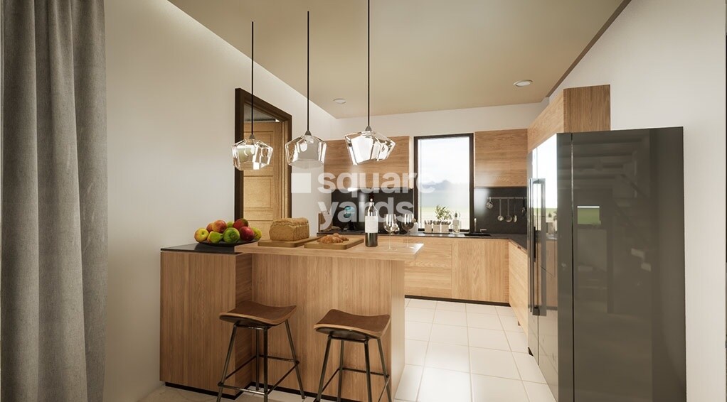 Saiven Mulberry Groves