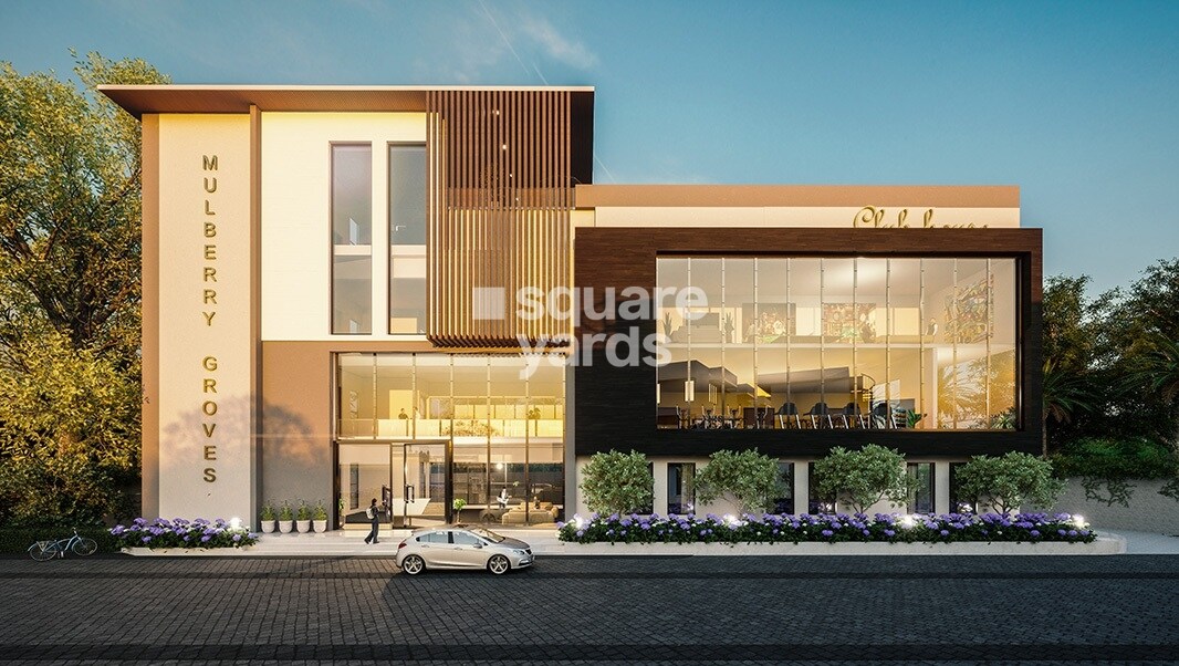 Saiven Mulberry Groves