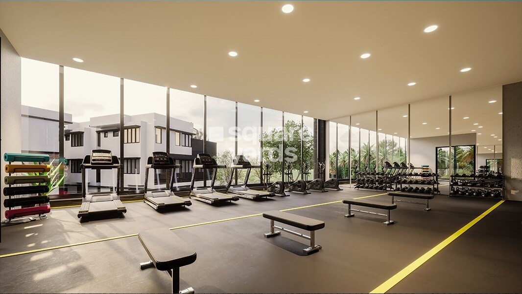 Saiven Mulberry Groves